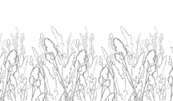 Фотообои Straws 180*265