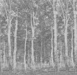 Фотообои Woods 270*265