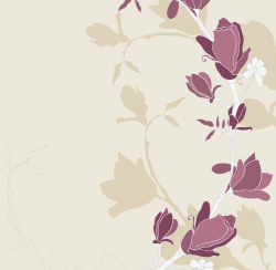Фотообои Magnolia 270*265