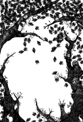Фотообои Hide & seek 180*265