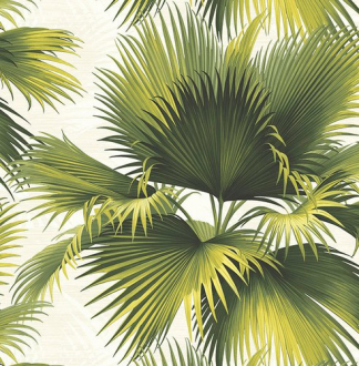 Обои «Palm Springs»