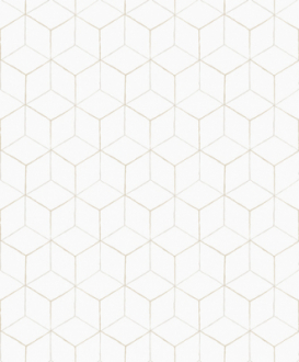 Обои «Vasarely»