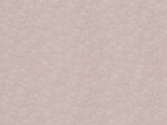 Обои 