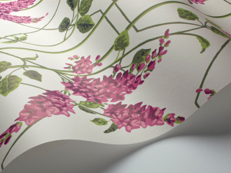 Обои Wisteria