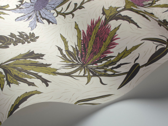 Обои Thistle