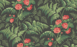 Обои Rose