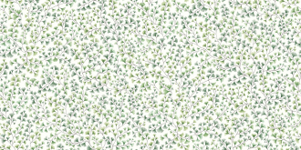 Обои Maidenhair