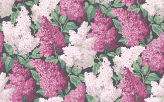 Обои Lilas