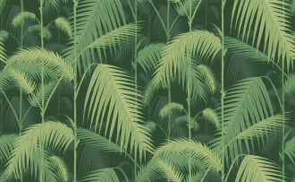 Обои Palm Jungle