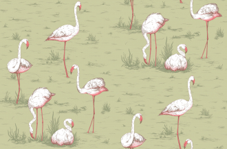 Обои Flamingos