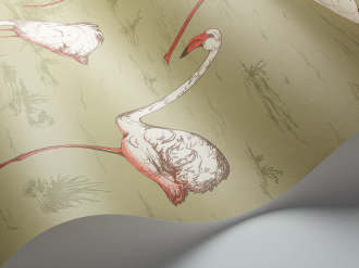 Обои Flamingos