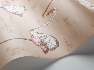 Обои Flamingos
