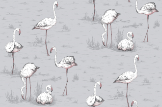 Обои Flamingos