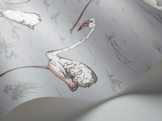 Обои Flamingos