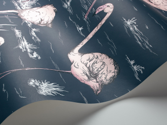 Обои Flamingos