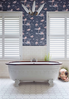 Обои Flamingos