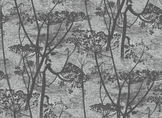 Обои Cow Parsley