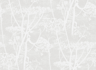 Обои Cow Parsley