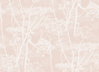 Обои Cow Parsley