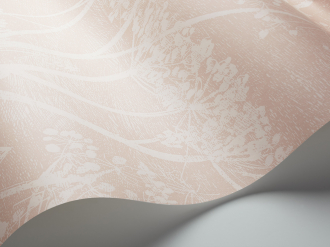 Обои Cow Parsley