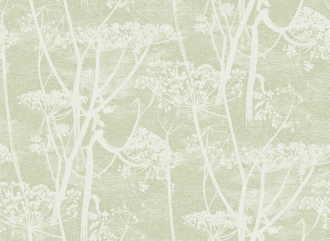 Обои Cow Parsley
