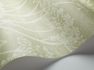 Обои Cow Parsley