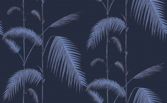Обои Palm Leaves