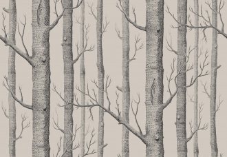 Обои Woods