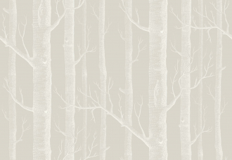 Обои Woods