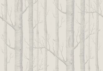 Обои Woods