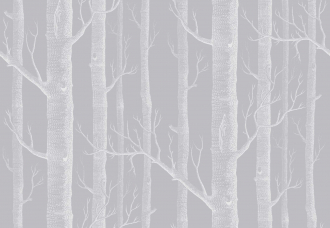 Обои Woods