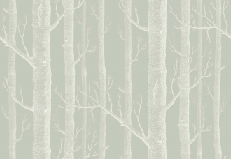 Обои Woods