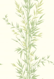 Обои Bamboo
