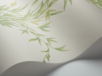 Обои Bamboo