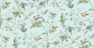 Обои Hummingbirds