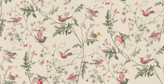 Обои Hummingbirds