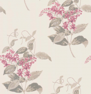 Обои Madras Violet