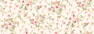 Обои Sweet Pea