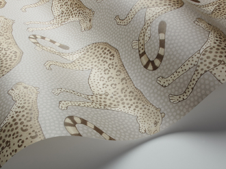 Обои Leopard Walk
