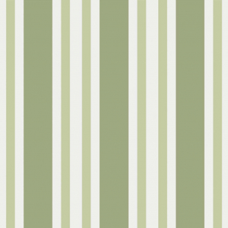 Обои Polo Stripe