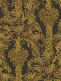 Обои Hollywood Palm