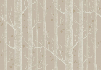 Обои Woods & Stars