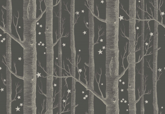 Обои Woods & Stars