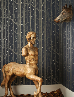 Обои Woods & Stars