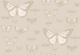 Обои Butterflies & Dragonflies