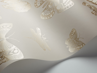 Обои Butterflies & Dragonflies