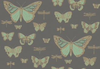 Обои Butterflies & Dragonflies