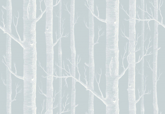 Обои Woods