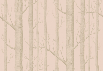 Обои Woods