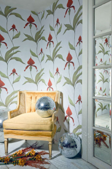 Обои Orchid